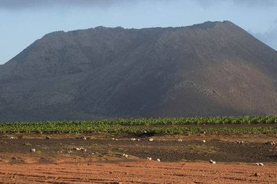 Lanzarote Island, Canarias, Spain
