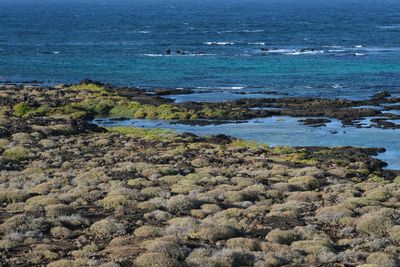 Lanzarote Island, Canarias, Spain