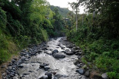 Colombia