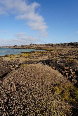 Lanzarote Island, Canarias, Spain