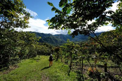 Colombia