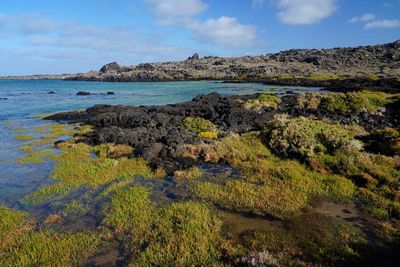 Lanzarote Island, Canarias, Spain