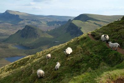 Scotland
