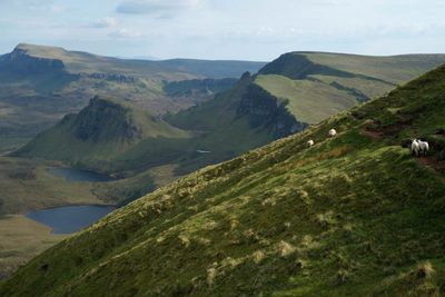 Scotland