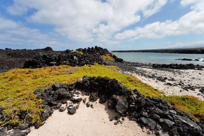 Lanzarote Island, Canarias, Spain