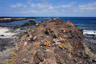 Lanzarote Island, Canarias, Spain