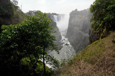 Botswana and Zimbabwe