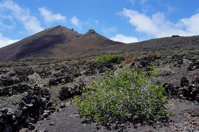 Lanzarote Island, Canarias, Spain