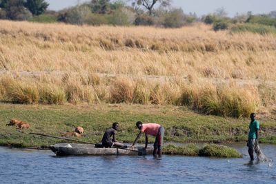 Botswana and Zimbabwe