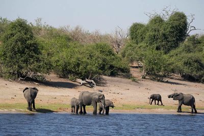 Botswana and Zimbabwe