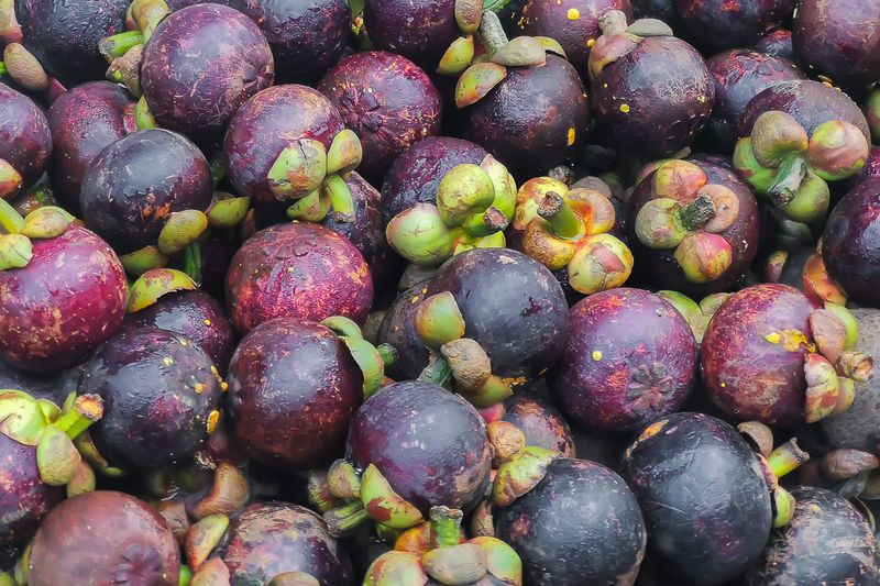 Mangosteen