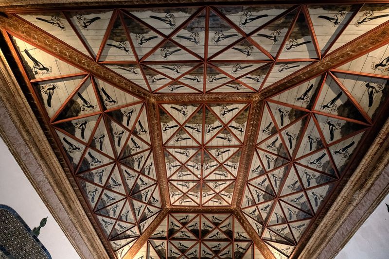 Looking up