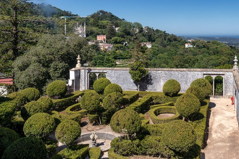 The Garden
