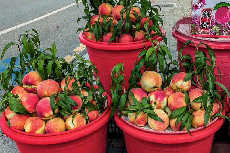 Peaches