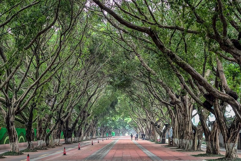 Leshan Street Scene