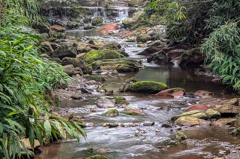 Creek By The Trail