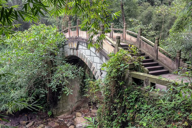 Bridge Over The Creek