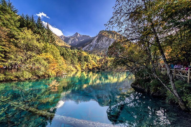 Five-flower Lake 九寨沟五花海