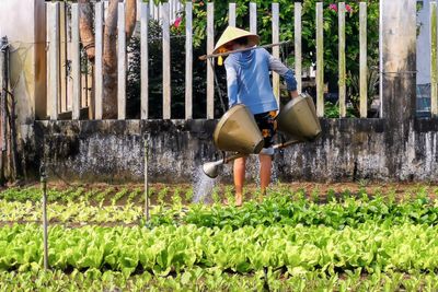 Watering Vegetable