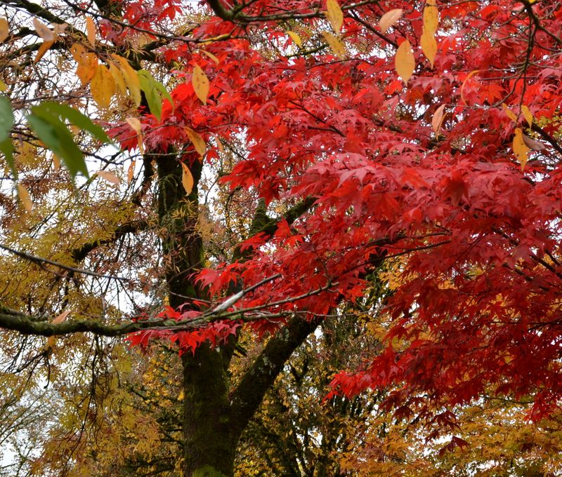 DSC_7260-2.JPG