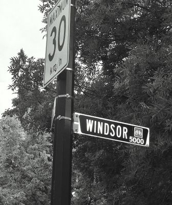 g13/60/1332560/3/174813196.eca7856c.JPEG