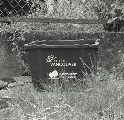 g13/60/1332560/3/174813206.c2d9ab58.JPEG