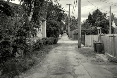 g13/60/1332560/3/174813207.d3f0596d.JPEG