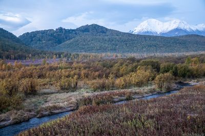 Nalychevo National Park