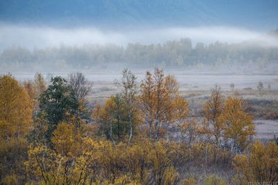 Nalychevo National Park