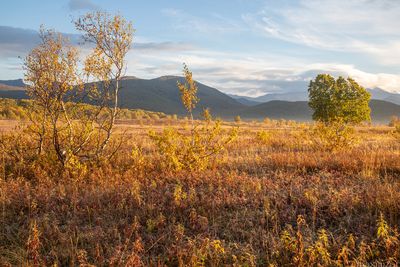 Nalychevo National Park