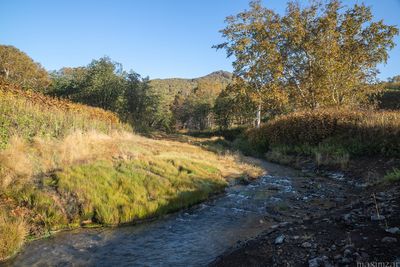 Talovsky springs