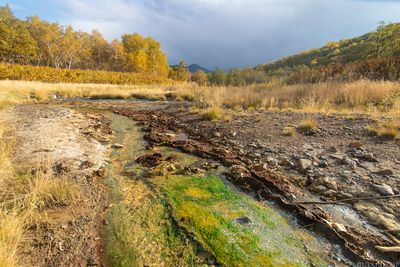 Talovsky springs