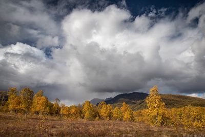 Nalychevo National Park
