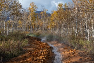 Nalychevo National Park