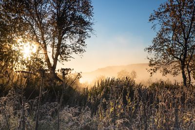 Nalychevo National Park
