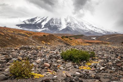 Koryaksky volcano