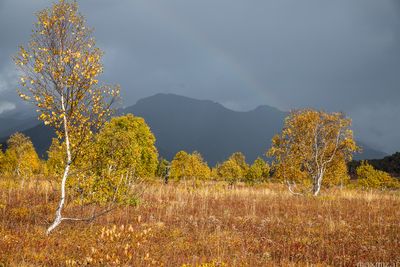 Nalychevo National Park