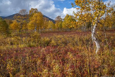 Nalychevo National Park