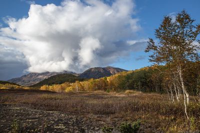 Nalychevo National Park