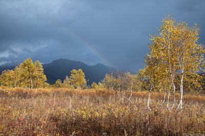 Nalychevo National Park