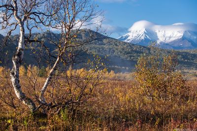Nalychevo National Park