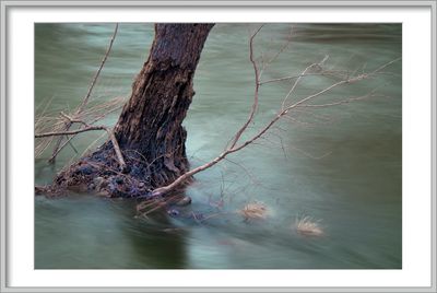 DSC_0904.jpg