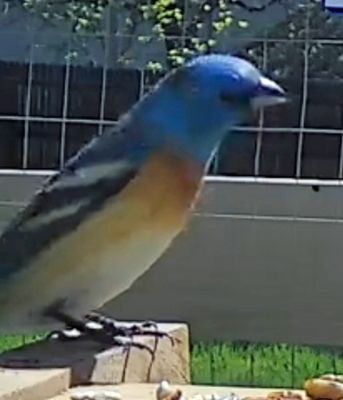 g13/60/396060/3/173620629.eb9385c4.JPEG