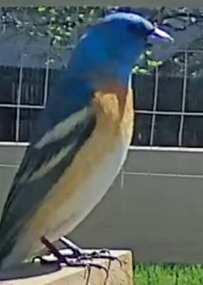 g13/60/396060/3/173620630.284d5c2a.JPEG