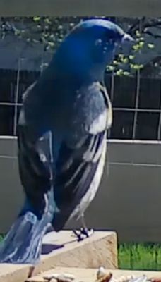 g13/60/396060/3/173724377.150e1423.JPEG