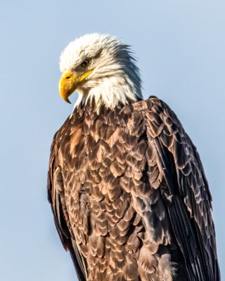 g13/60/396060/3/174230362.99e312aa.JPEG