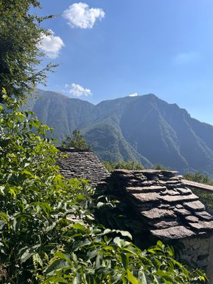 IMG_1366.jpg