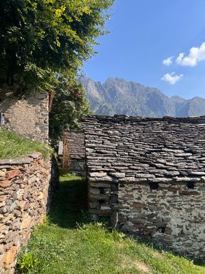 IMG_1367.jpg