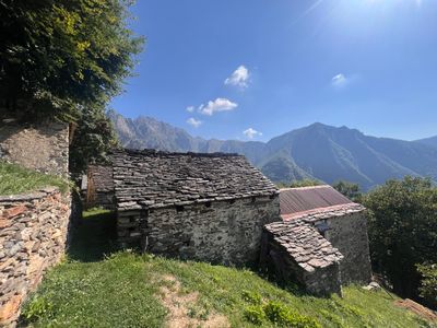 IMG_1368.jpg