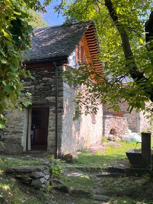 IMG_1373.jpg